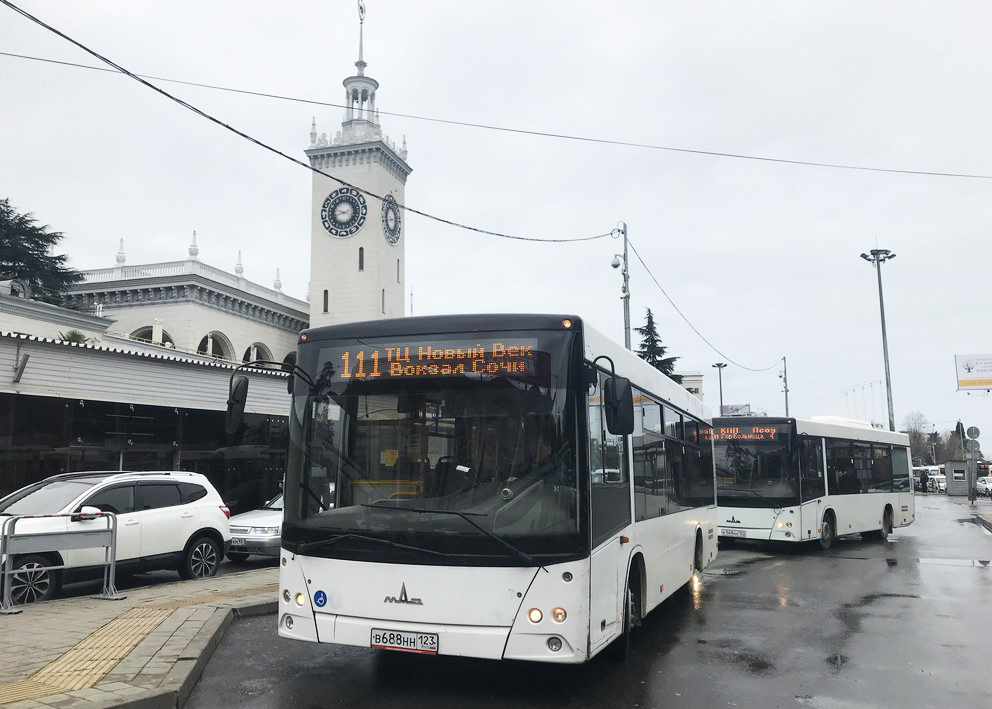 Bus, Sochi, Novy Vek Station